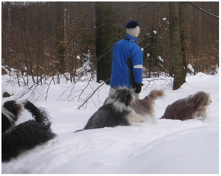 Snowbeardies - Kopf hoch halten und flei&szlig;ig h&uuml;pfen