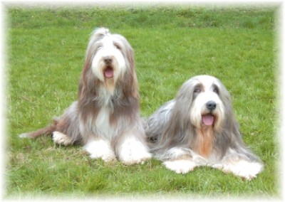 Die Eltern: Kayleigh und Sam