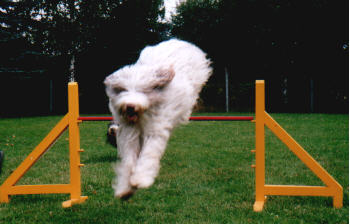 Das macht einen Riesenspa&szlig;