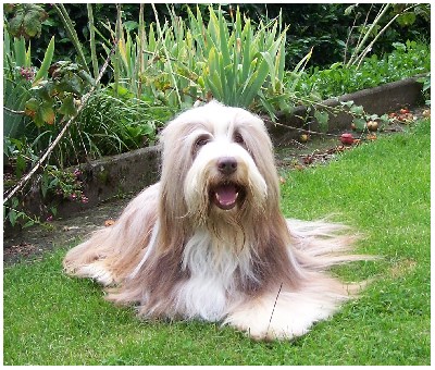 Bitte l&auml;cheln ;-) Snert als verwegener Pirat mit Zahnl&uuml;cke ;-)