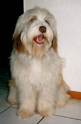 Snert mit einem Jahr