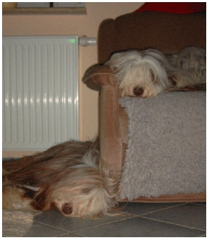 Jeder entspannt auf seine Weise