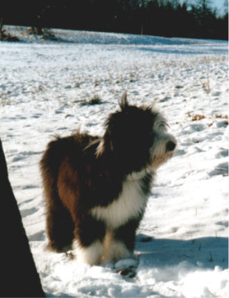 Schneek&ouml;nigin Yuma