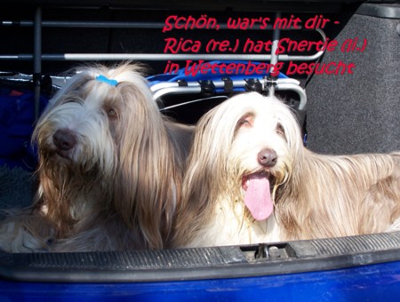 In deinem Auto sitzt's sich echt gem&uuml;tlich, Rica