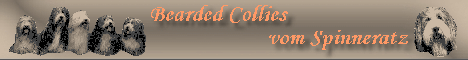 vom Spinneratz Bearded Collies