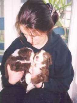 Snert und Bruder Stupi