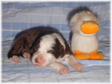 Philosophy of life Brown Sugar