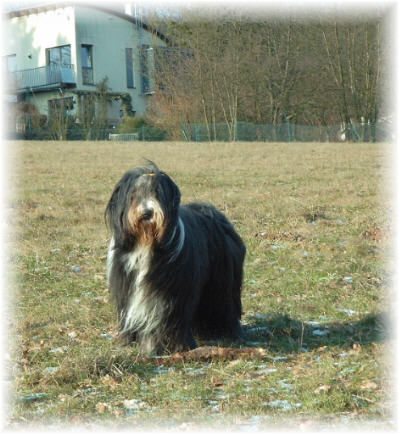 Meine Maus auf einem unserer Ausfl&uuml;ge, Januar 2003