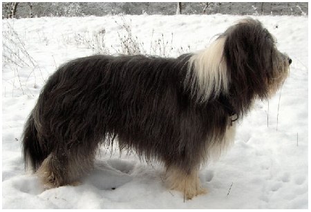 Tomlin im freien Flug, nein Stand :)