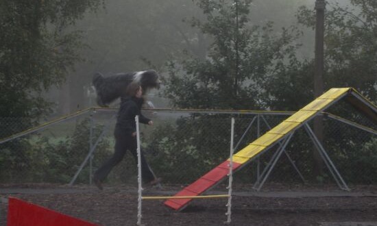 Tomlin in luftiger H&ouml;he