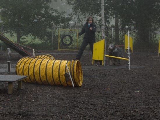 Jessika und Tomlin in action