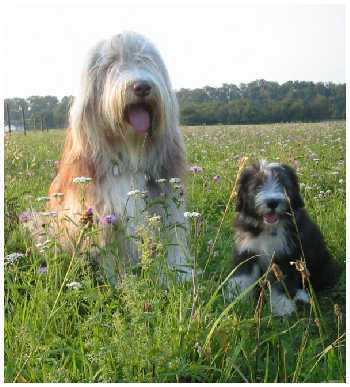 Tomlin und sein gro&szlig;er Freund Joscha