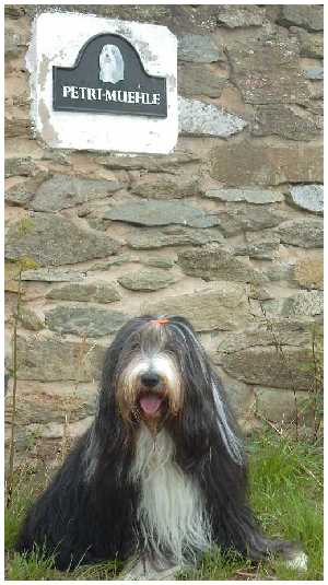 Tomte besucht ihre Geburtsst&auml;tte, die Petri-M&uuml;hle