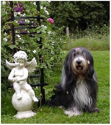 Tomte auf Leann's Hochzeit mit Coolio
