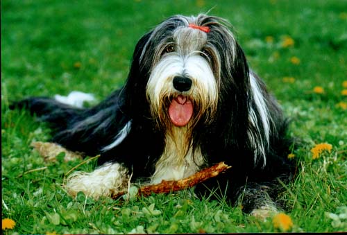 Tomte ganz nat&uuml;rlich