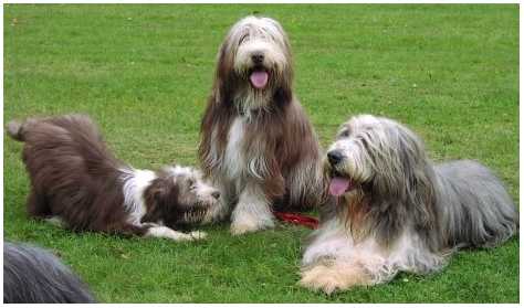 Kayleigh, Sam und Klein-Kathy