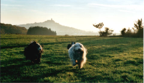 Gleiberger Land