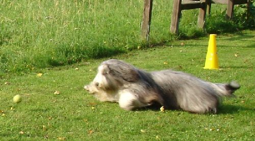 Valentin ist auch eine Sportskanone ;-)