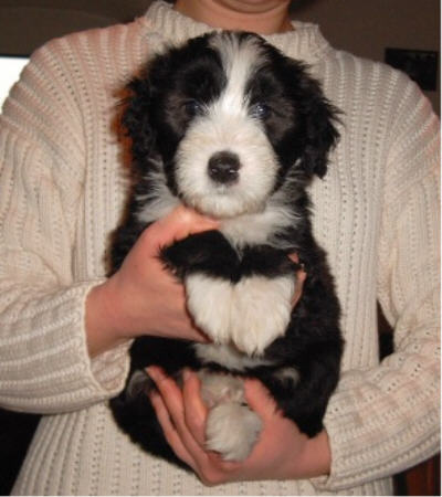 Bin ich nicht s&uuml;&szlig;