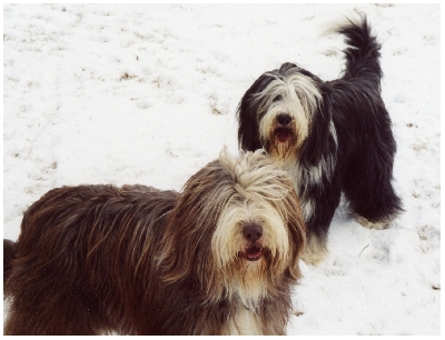 Kayleigh und Yuma ganz erwartungsvoll