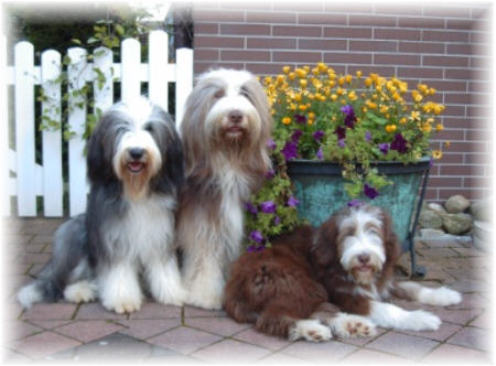 Dicke Freunde - Yuma, Snert und Klein-Kayleigh, 2002