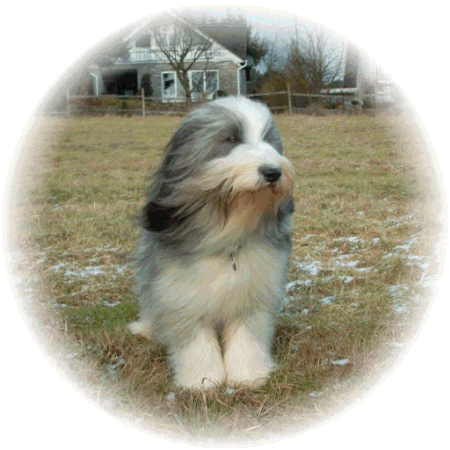 Wintertr&auml;ume 2002/2003